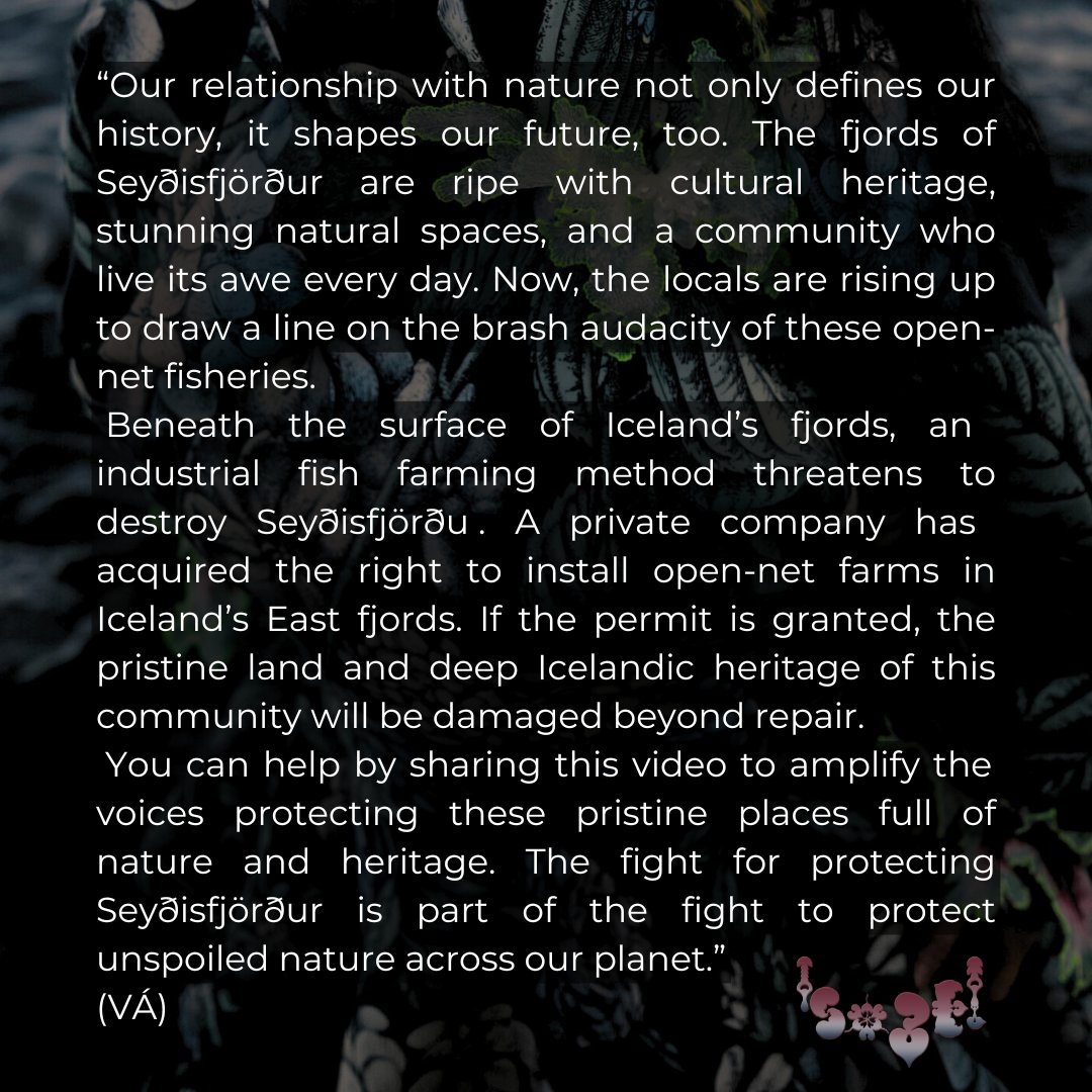 #Björk's call to action: "Stop sea cage farming, support Seyðisfjörður"