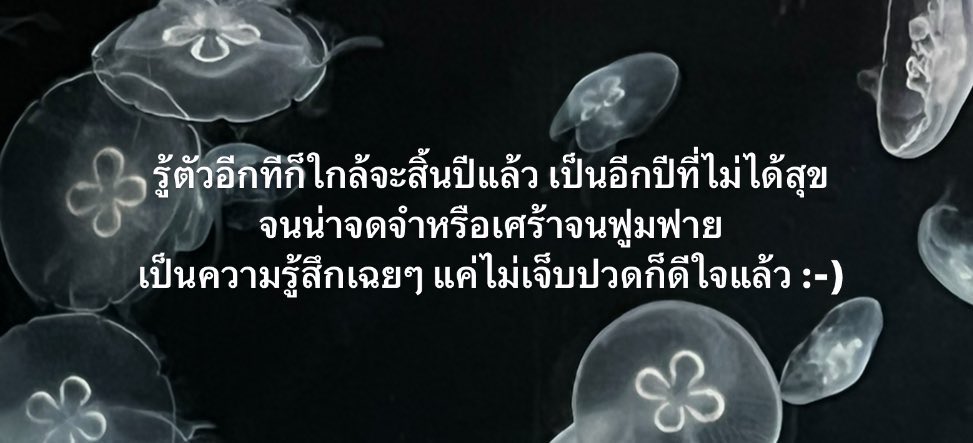 ใกล้สิ้นปีแล้วนะ,