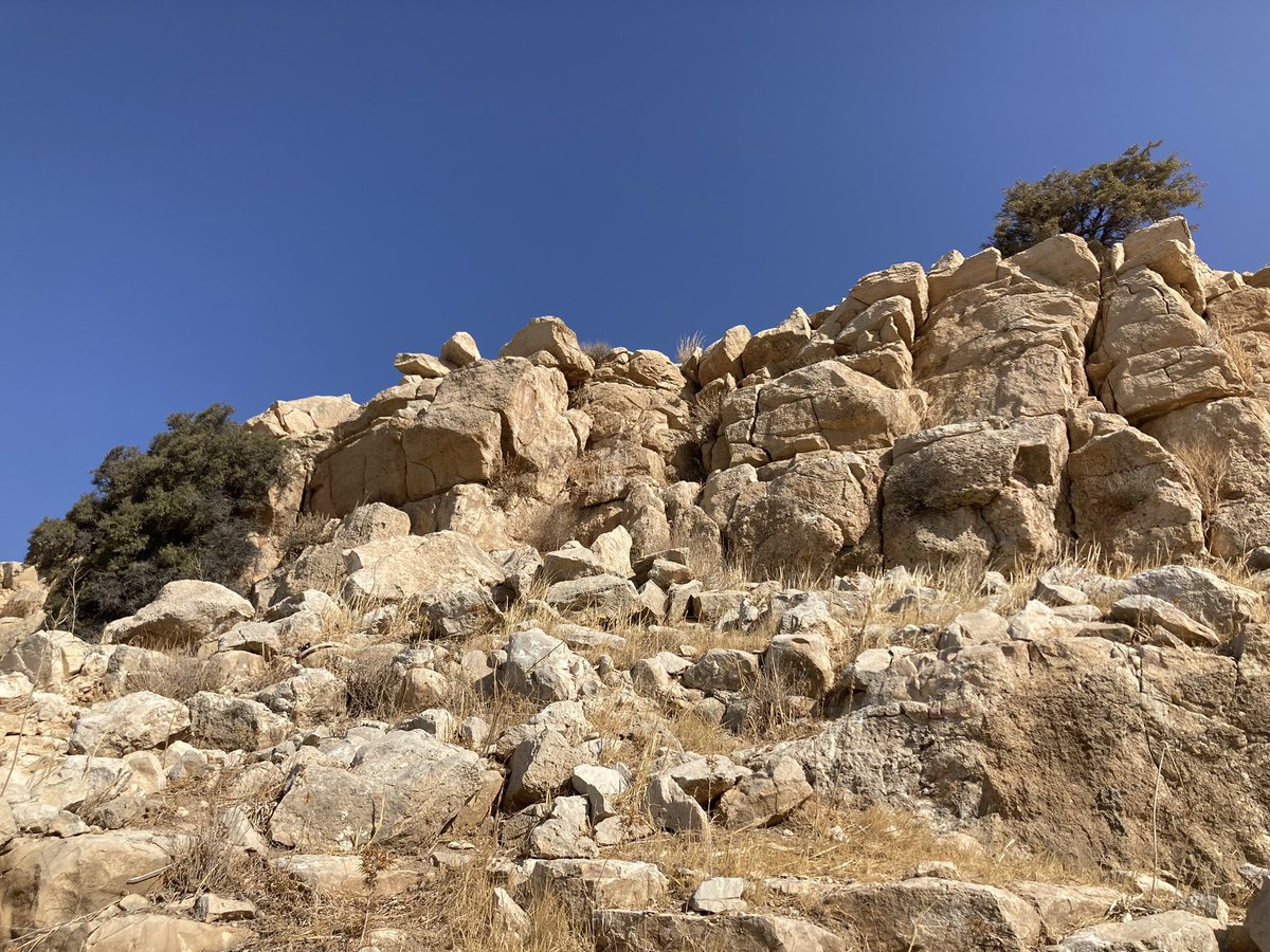 Josu Aranbarri tweet media