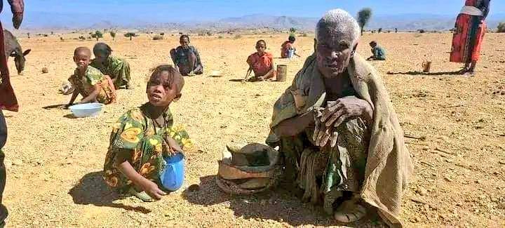 ቲቲ እንደርታዊት🦋💊🇸🇩 ⚪️🔴 tweet media