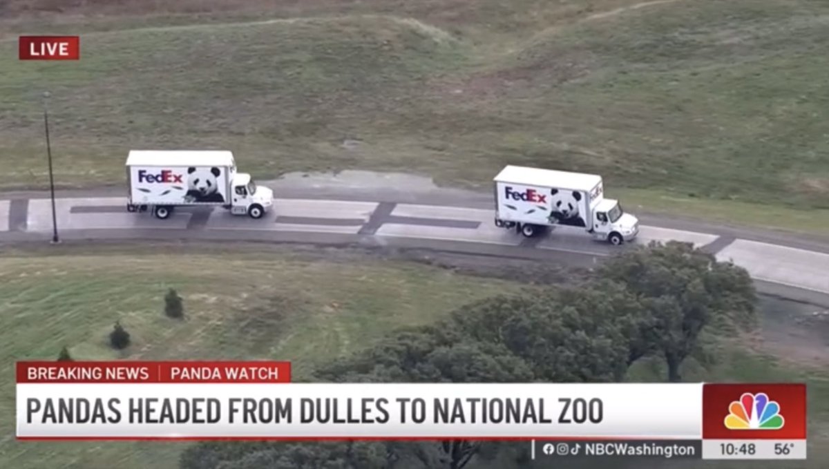 Xiao Qi Ji tweet media