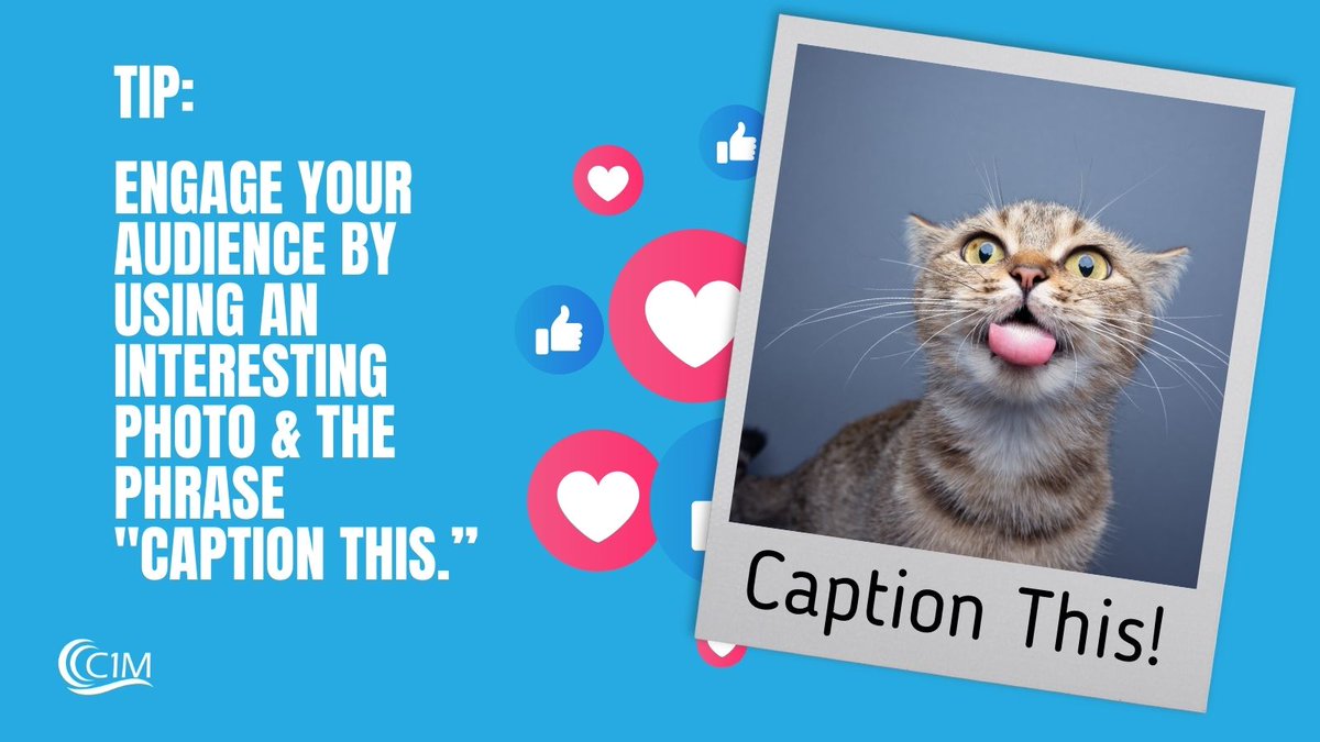 C1M_a_i's tweet image. Trying to engage your audience? Here&apos;s a fun trick: Use an interesting photo and ask your followers for a fun caption. This is known as a &quot;Caption This&quot; post. It can build brand awareness while engaging your target market. #SocialMediaStrategyTips #SocialMediaGrowthTips