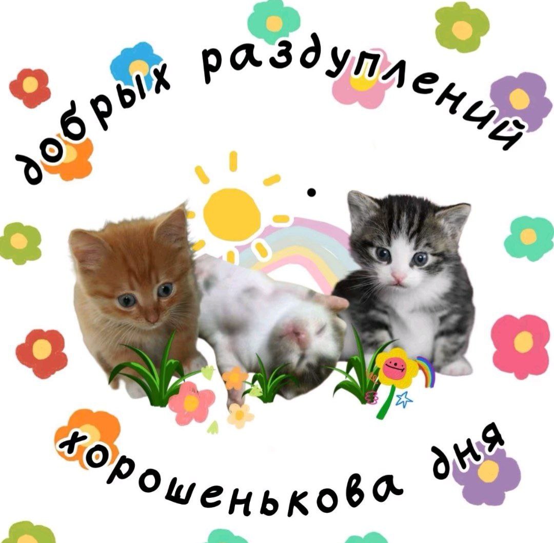 daimakkhan's tweet image. 