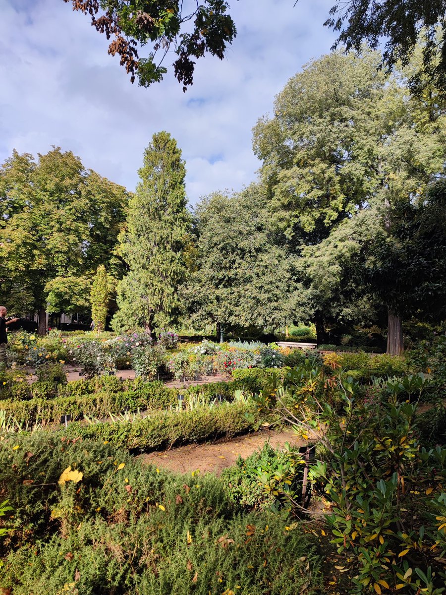 SuSaNa_project tweet media