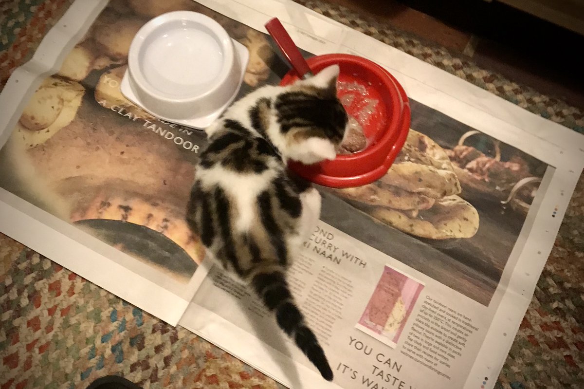 Barendina Smedley tweet media