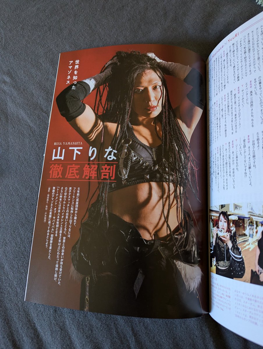 AbigUFO's tweet photo. There's an article about Rina Yamashita in the newest Ring Plus issue. @wryyyyna66 https://t.co/VjCo3VO7m5