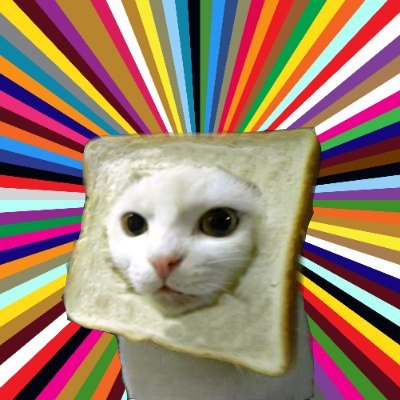 INBREDCATONSOL's tweet photo. bread  the cat as soon as possible🍞🫵😹🍞
$INBRED https://t.co/by5PZMqZFl