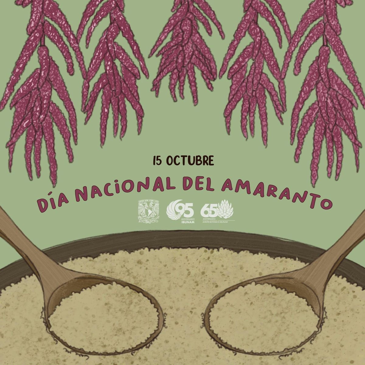 JBUNAM's tweet photo. Mucho hay que decir de esta planta, sagrada entre los pueblos prehispánicos. Su importancia es igual que el maíz. Celebremos este día consumiendo esta nutritiva planta. ¿Cómo la consumes? Comparte tus experiencias https://t.co/iixiUuEQ6M