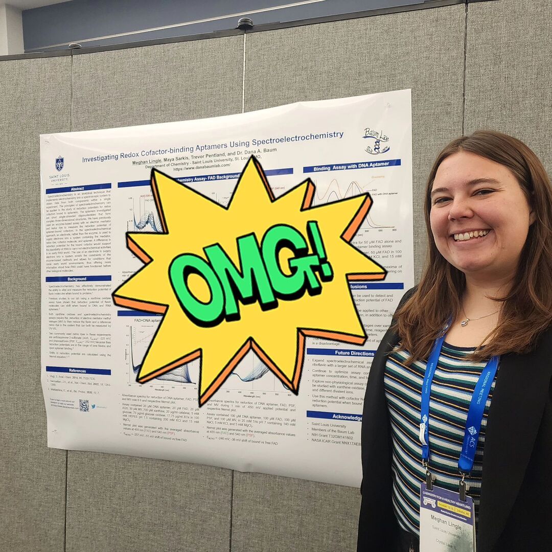 Baum Lab SLU tweet media