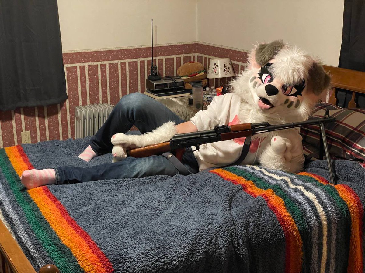 MarbleDog 🔜 LVFC tweet media