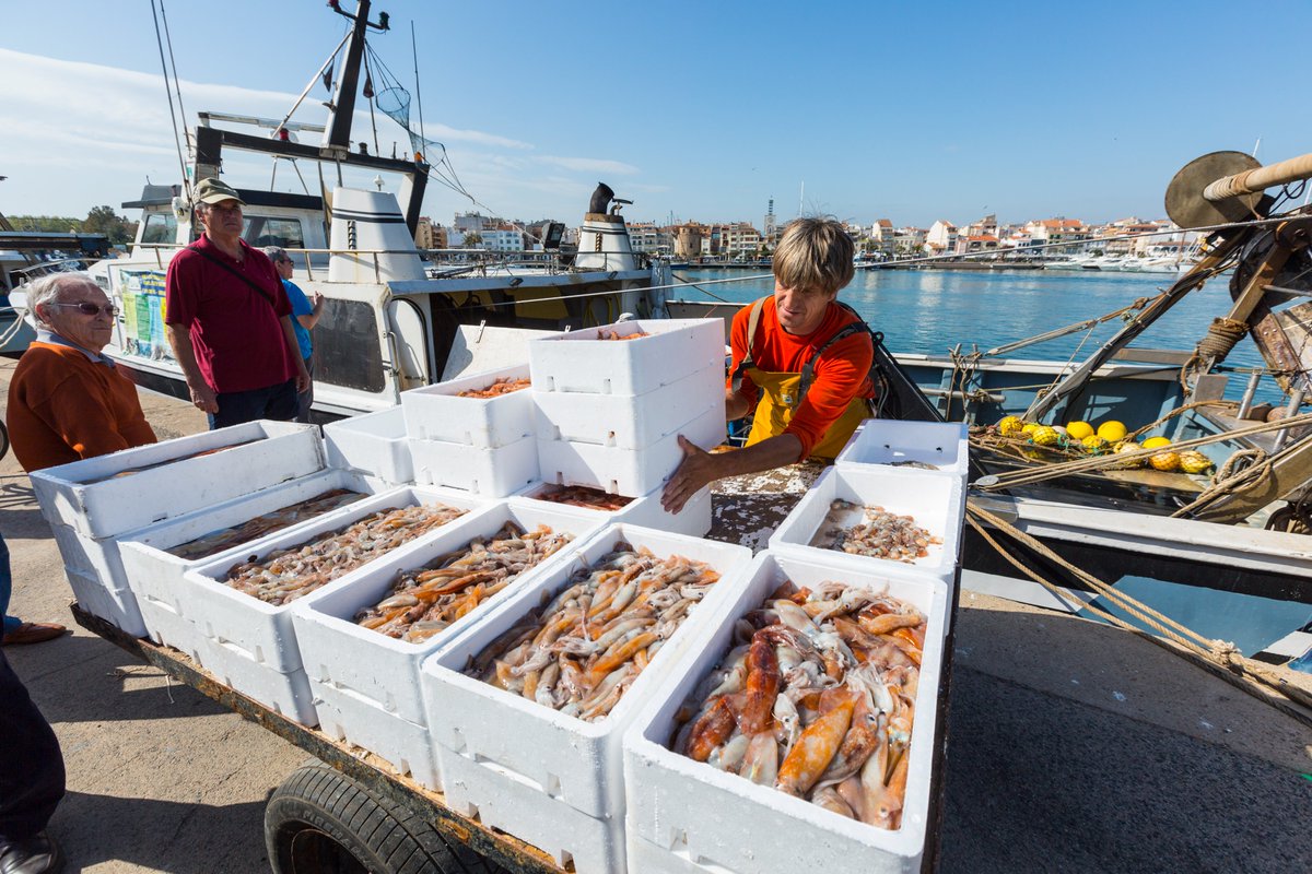 CambrilsTurisme's tweet image. 🎣 Del mar al teu restaurant preferit.

😋 Amb ganes de gaudir del millor #peix i #marisc de #Cambrils aquest cap de setmana?

#CambrilsTurisme