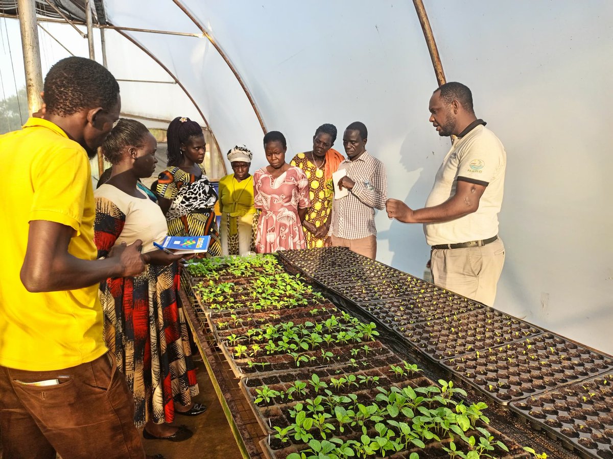 uwonet's tweet photo. Rural women make up 36% of the agrifood workforce globally, yet their contributions often go unrecognized.
UWONET is working to change that by providing women with the tools &amp;resources they need to thrive in agriculture &amp;contribute to 🇺🇬food systems.
#InternationalDayOfRuralWomen https://t.co/hsfq3b6r3S
