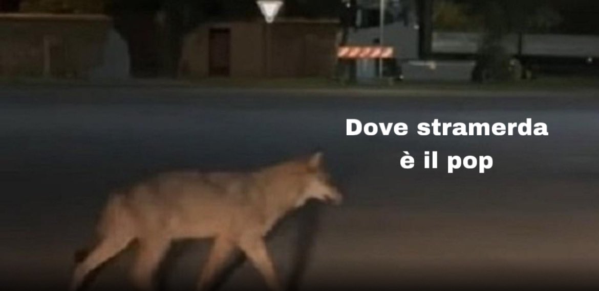il Nargisista tweet media