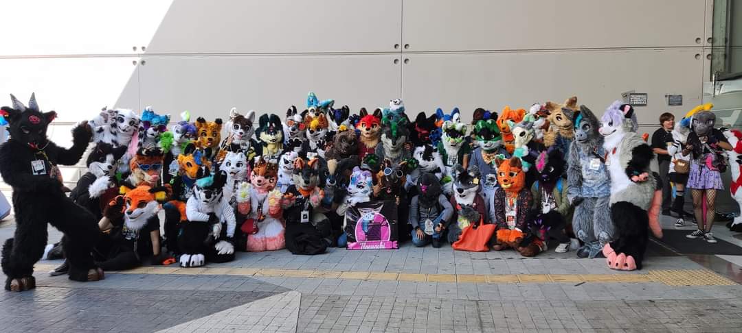 Snuggles fursuits tweet media