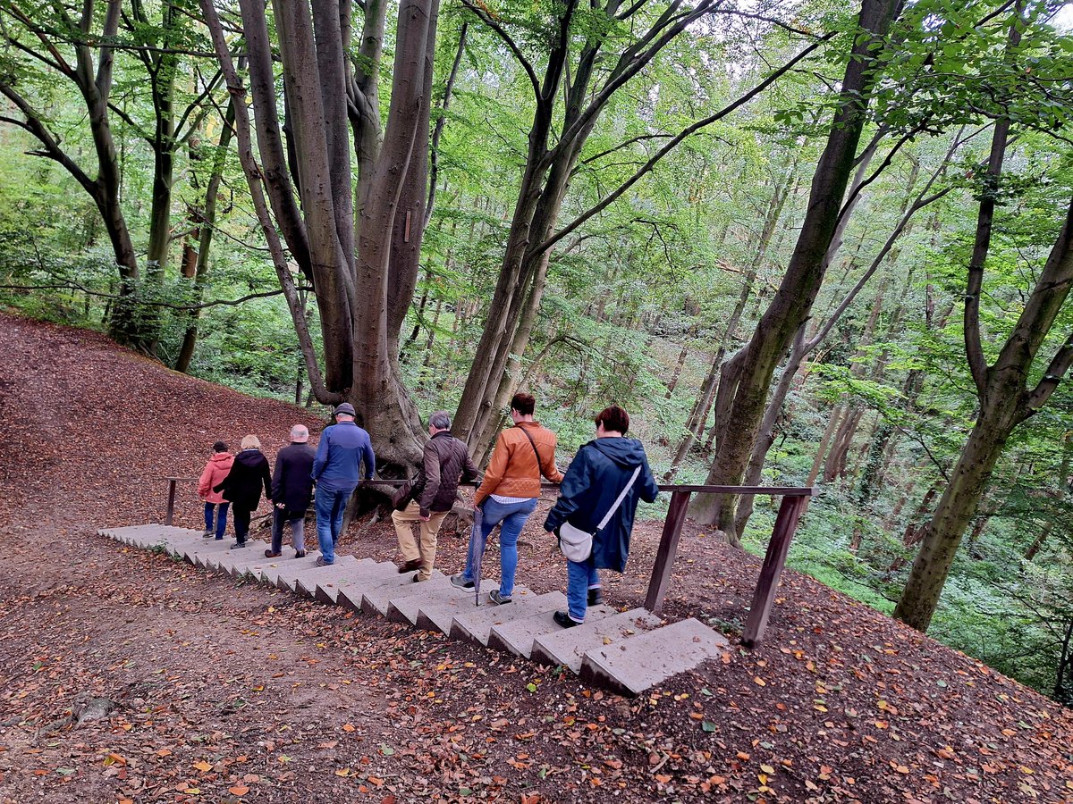 Tip 1 voor de herfst: Landschapswandeling Caumerbeekdal. Ontdek Heerlen's natuur &amp; cultuur met onze gidsen. Bewonder flora, fauna, molens en architecten als Peutz langs de Caumerbeek: vzl.nu/406Aa2V.👉Meer tips: #visitzuidlimburg.nl:
 #ditisparkstad #herfstwandeling