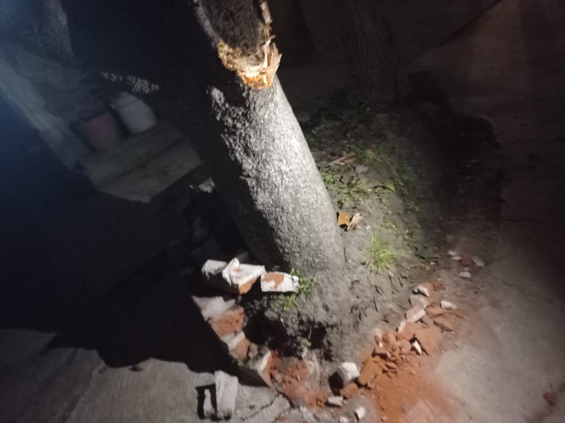 EllaesXtal's tweet photo. Solicitamos el apoyo urgente  @ALaMagdalenaC referente al derrumbe ilegal de un árbol por parte de una vecina de la Col.SanNicolasTotolapan. Cabe destacar que anteriormente ya existe una denuncia previa y no se ha dado seguimiento @Fer_MercadoG @SEDEMA_CDMX @PAOTmx @corenadr https://t.co/wRRwrfzwIa