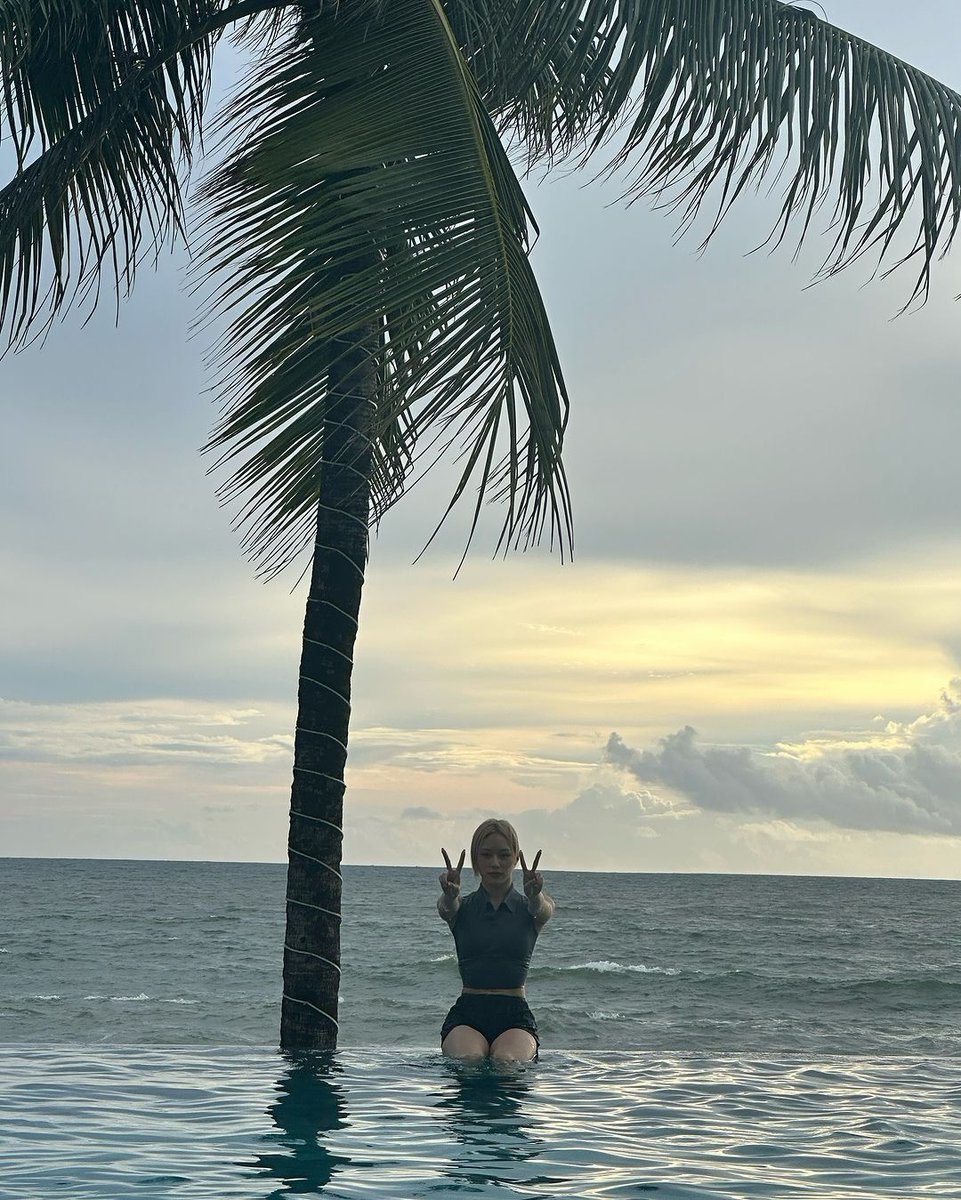 youngtaepics's tweet photo. Two of my favourite things. Sunset, and Tatter 

#베베 #태터
#BEBE #Tatter https://t.co/CMx4csvRtz