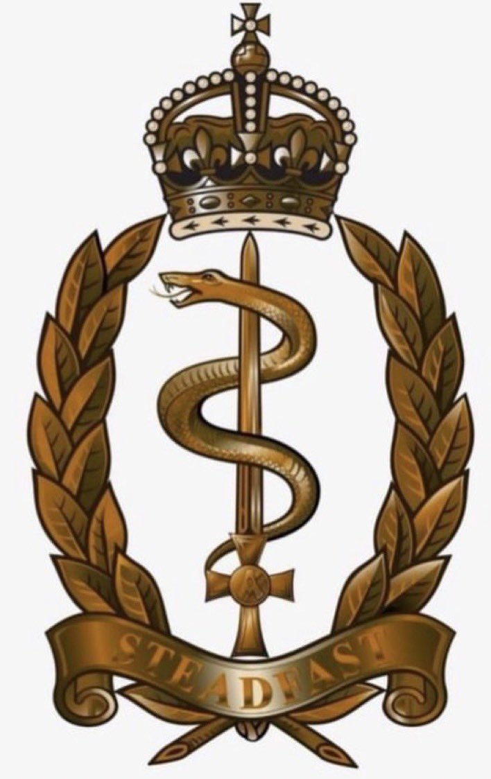The cap badge for the new Royal Army Medical Service, formed from amalgamating RAMC, RADC and QARANC. Announced today and due to start the transition this Nov.