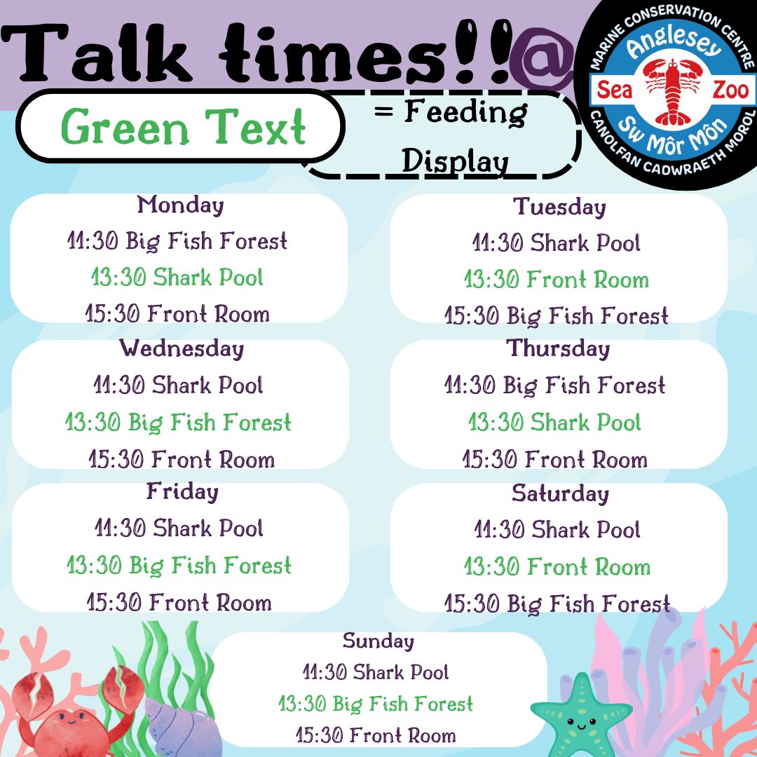 angleseyseazoo's tweet image. OoOoOoOHhHhH!!!!!!!
Tis the Season to be gory and scary/scared but it most definitely not the time to be bored. Over the October Half Terms, we are hosting a range of activities at 12:00 as well as the talks we have going on daily anyway.
#Halloween #CalanGaeaf