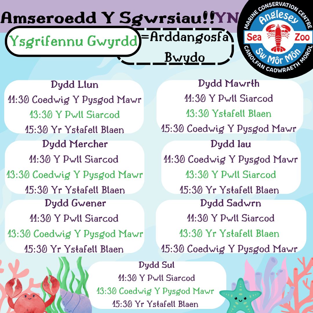 angleseyseazoo's tweet image. OoOoOoOHhHhH!!!!!!!
Tis the Season to be gory and scary/scared but it most definitely not the time to be bored. Over the October Half Terms, we are hosting a range of activities at 12:00 as well as the talks we have going on daily anyway.
#Halloween #CalanGaeaf