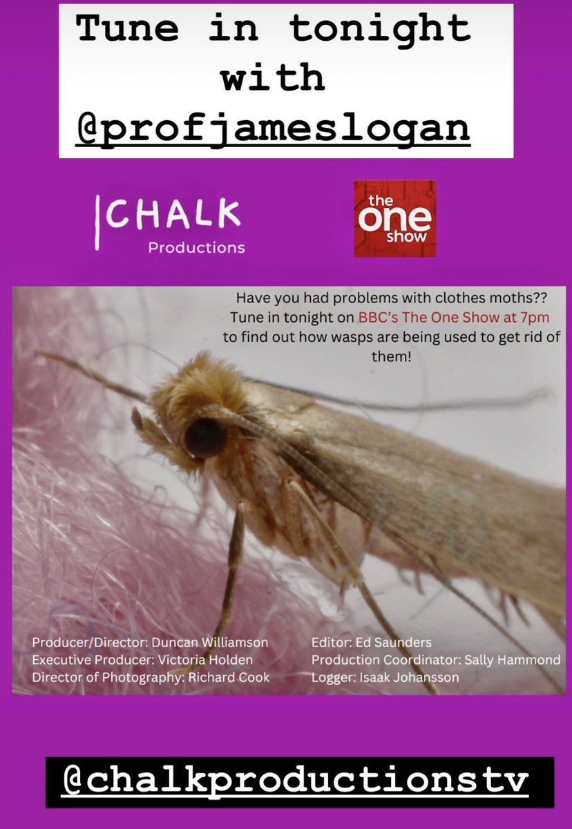 I’ll be on <a href="/BBCTheOneShow/">BBC The One Show</a> tonight talking about the problem of clothes moths and showcasing a rather innovative way to control them using wasps! You heard it here first. Tune in 7pm <a href="/BBCOne/">BBC One</a>! 
Here is me at the museum with the awesome Ashleigh Whiffin, curator at the museum.