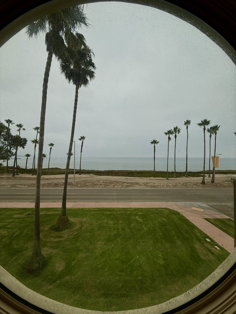Nikta Fakhri (@fakhrilab) on Twitter photo Thereās science, and then thereās science <a href="/KITP_UCSB/">Kavli Institute for Theoretical Physics</a>.
Great to be back! Last time I was here, we were the first group post-pandemic with @Shankar_Lab, <a href="/RicardAlert/">Ricard Alert Zenón</a>, <a href="/cris_marchetti_/">Cristina Marchetti</a>, <a href="/BowickM/">Mark Bowick</a>. Thereās science, and then thereās science <a href="/KITP_UCSB/">Kavli Institute for Theoretical Physics</a>.
Great to be back! Last time I was here, we were the first group post-pandemic with @Shankar_Lab, <a href="/RicardAlert/">Ricard Alert Zenón</a>, <a href="/cris_marchetti_/">Cristina Marchetti</a>, <a href="/BowickM/">Mark Bowick</a>.