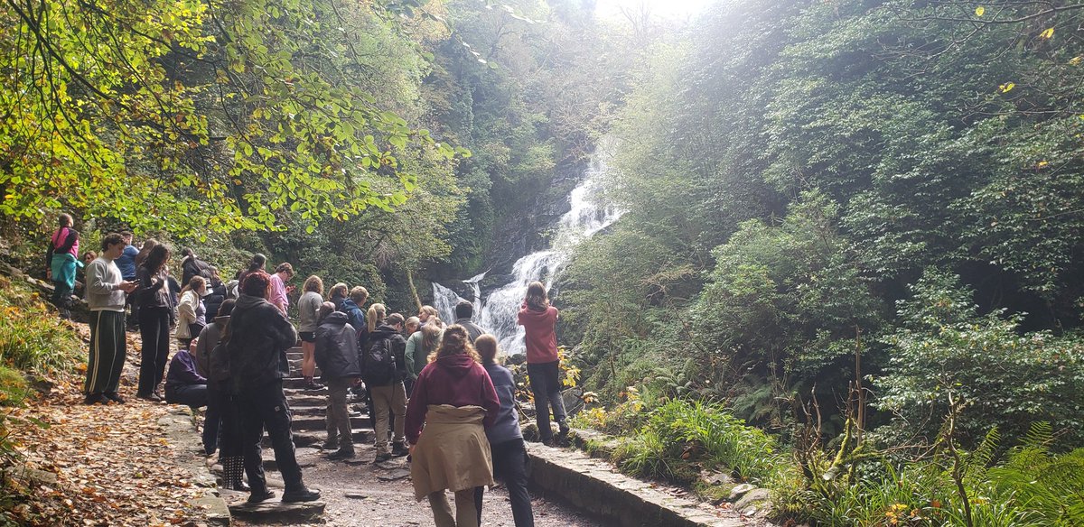 Stephen Hutton tweet media