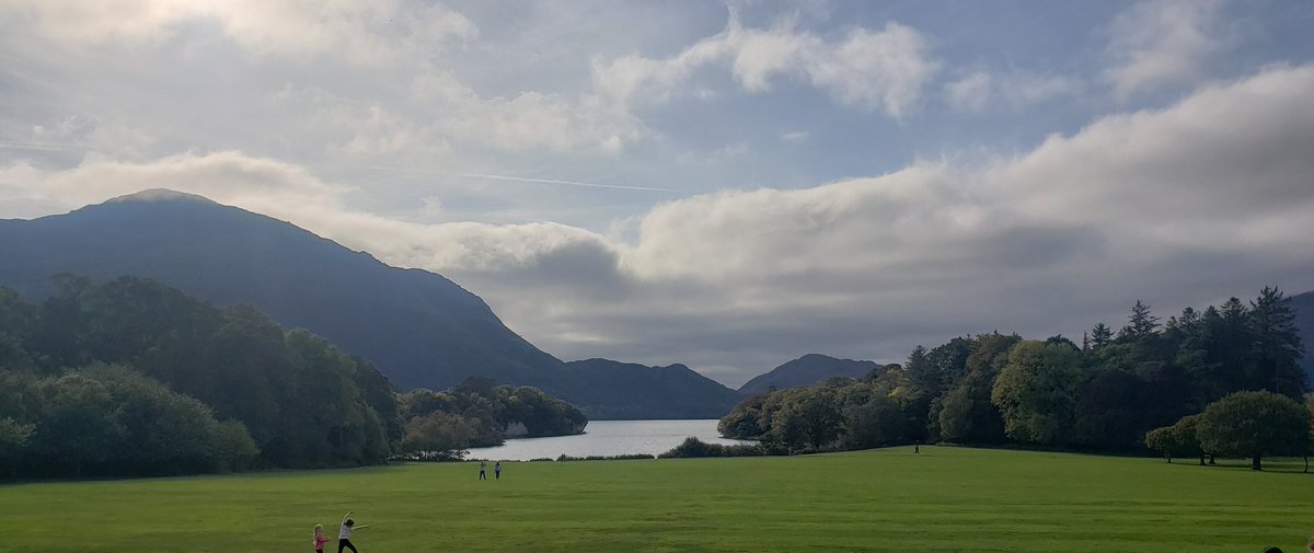 Stephen Hutton tweet media