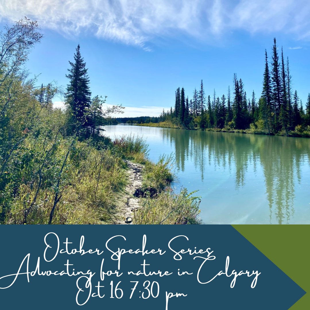 Join us tomorrow Oct 16 at 7:30pm for our Speaker Series presented by Nature Calgary Board member and lawyer Nathaniel Schmidt on Nature Calgary's advocacy for better conservation practices in and around Calgary. Members watch your email for the link to join.