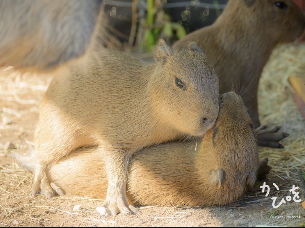 Me and who? 🥺🙈