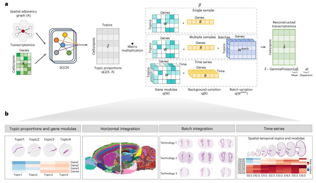 Out today from Jinmiao Chen's lab! Spatial Transcriptomics Analysis with topic Modeling to uncover spatial Patterns (STAMP) is a versatile and scalable method for dimension reduction in spatially resolved transcriptomics. nature.com/articles/s4159…