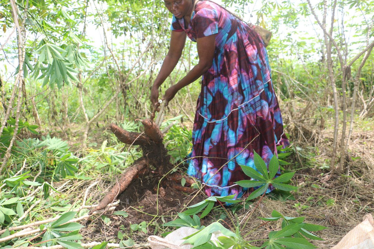 WFP Cameroon tweet media