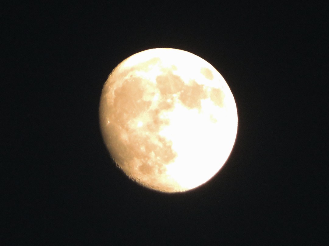 7MIX_foreshadow's tweet photo. 十三夜の月🌔 https://t.co/jJsQ2au6Cf