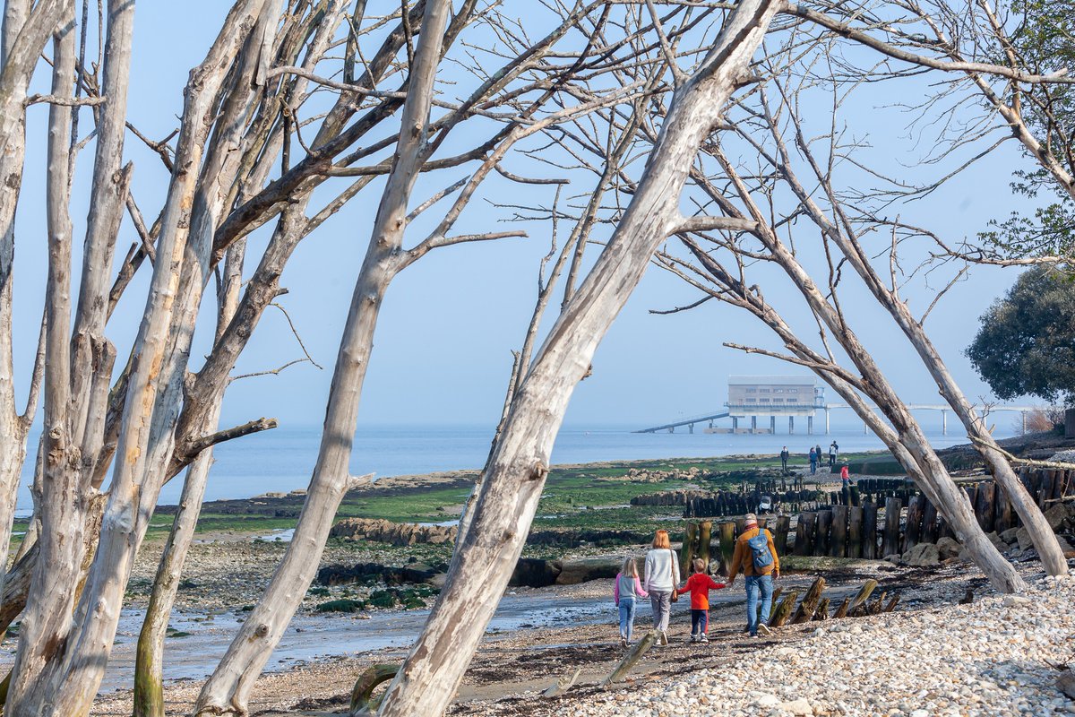 Top 4 Beach Walks on the Isle of Wight 🌊

Looking for stunning seaside strolls? Check out my top picks!

⛱️ Bembridge Beach
⛱️ Sandown Bay
⛱️ Freshwater Bay
⛱️ Shanklin Beach

#iow #isleofwight #visitisleofwight #bembridge #freshwaterbay #shanklin #sandown