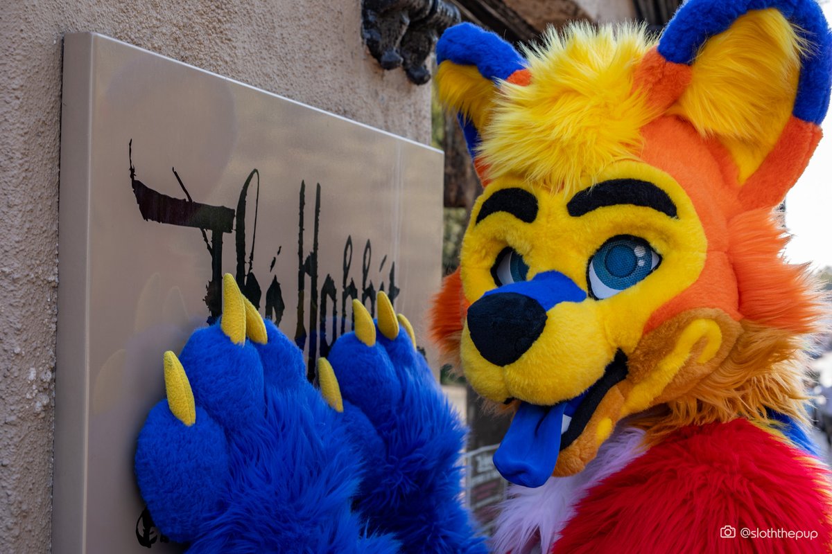Pup Splash, now on Bskysocial (@Splash_Pup) / Posts / X