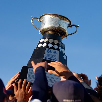 UofT_Baseball's tweet image. #NewProfilePic