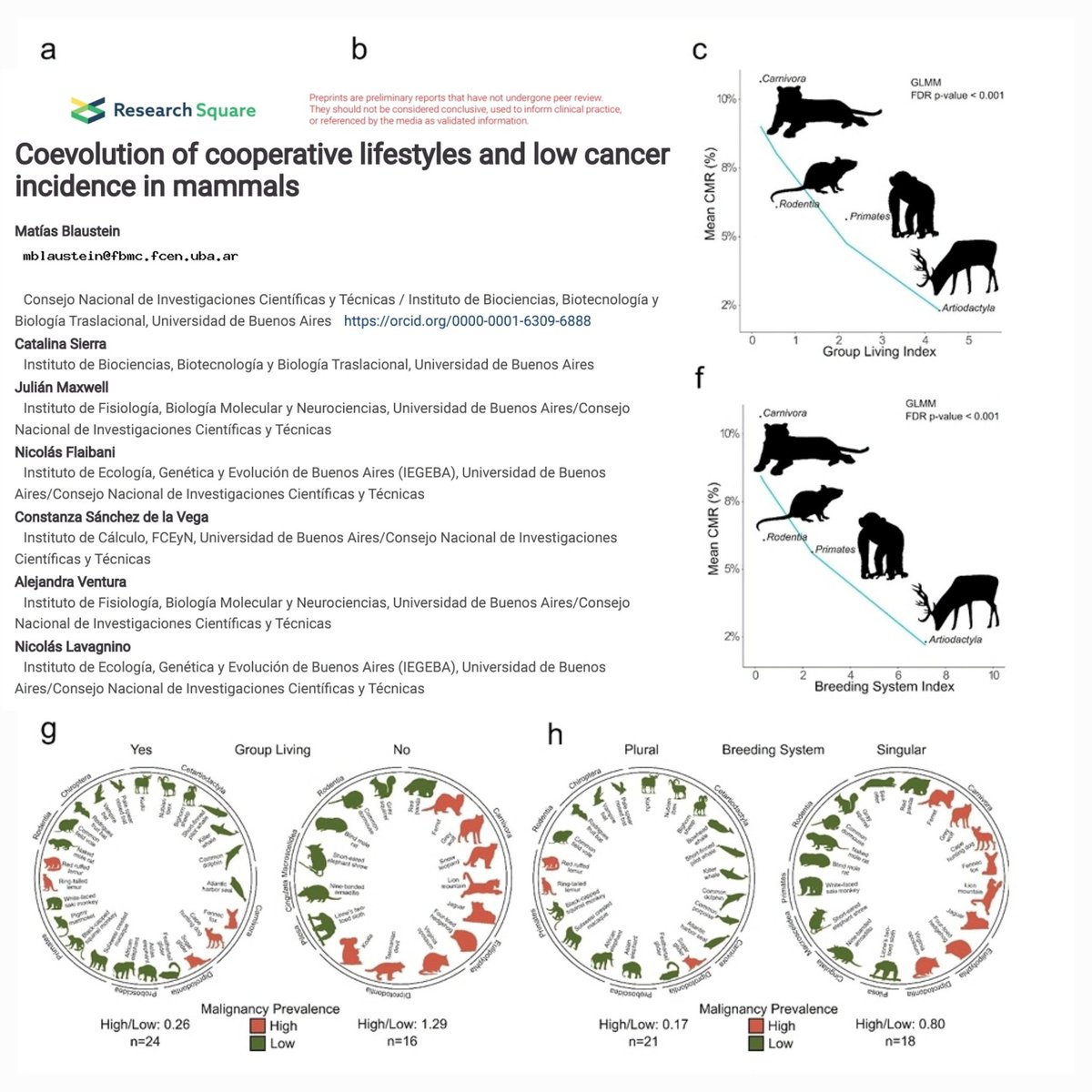 BlausteinMatias's tweet photo. Our most recent interdisciplinary work, through correlation analysis of different databases and mathematical modeling, demonstrates an association between low cancer incidence in mammals and cooperative lifestyles. https://t.co/sL6WPO8VBH