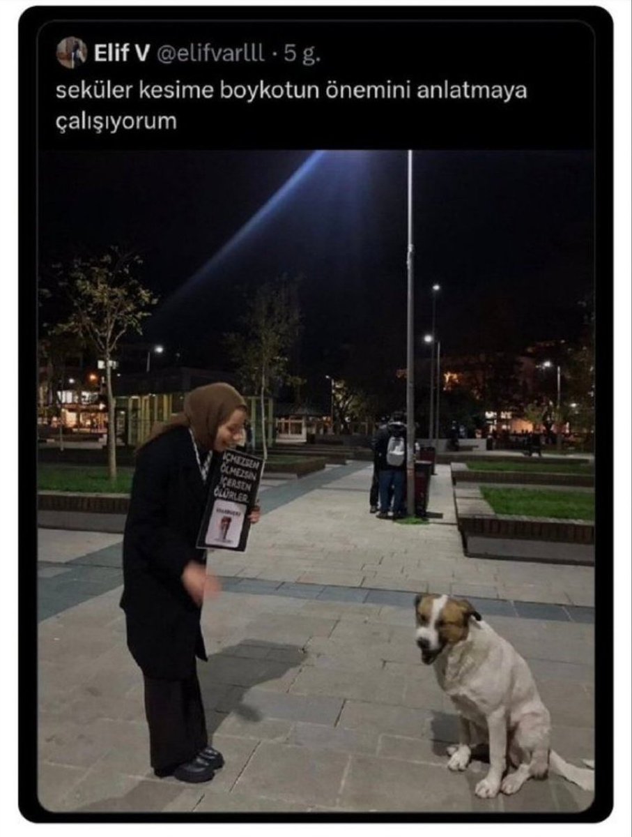 <a href="/Distastemoment/">Distastemoment</a> <a href="/elifvarlll/">elif v</a> hesabı kapatıp s*ktir olup gidene kadar seninle uğraşacağız.

Hâlâ devam edersen eğer, TCK 216 (halkı kin ve nefrete sürükleme / bir kesimini aşağılama) ve TCK 158 (nitelikli dolandırıcılık) gibi suçlardan dolayı şikayetçi olacağız.

O burs sana zehir zıkkım olacak.