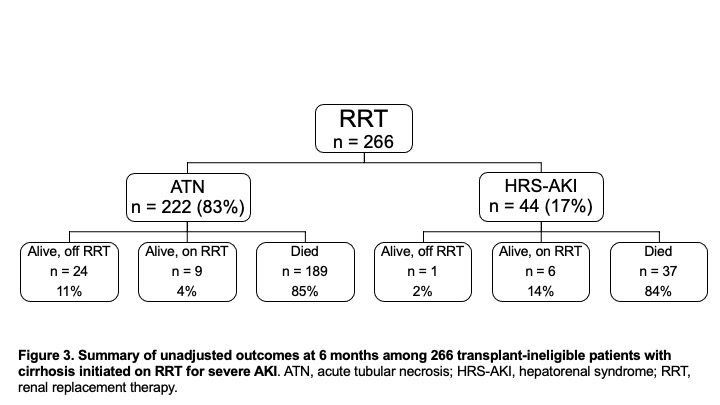 Nneka N. Ufere, MD MSCE (@nnekauferemd) on Twitter photo In this mixed-methods study of 372 transplant-ineligible patients with cirrhosis w/ severe AKI (ATN or HRS), we found that ~1 in 6 of those who received RRT were alive in 6 months - work led by <a href="/mclean_diaz/">Paige McLean Diaz</a> in <a href="/DDS_Journal/">Digestive Diseases and Sciences</a> #palliativehepatology #ACLF In this mixed-methods study of 372 transplant-ineligible patients with cirrhosis w/ severe AKI (ATN or HRS), we found that ~1 in 6 of those who received RRT were alive in 6 months - work led by <a href="/mclean_diaz/">Paige McLean Diaz</a> in <a href="/DDS_Journal/">Digestive Diseases and Sciences</a> #palliativehepatology #ACLF