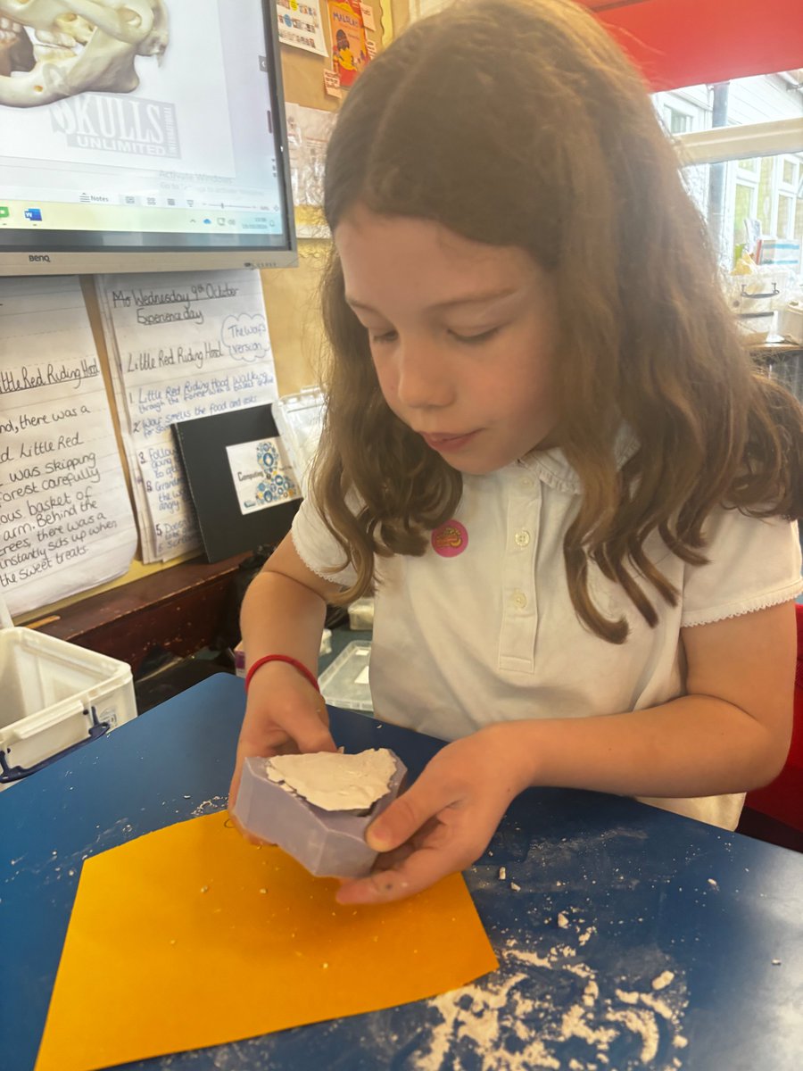 Year 4 loved their ‘Teeth’ Workshop today! We learnt all about our teeth, their names, their jobs and how to look after them. We even made our own set of teeth to take home! 🦷