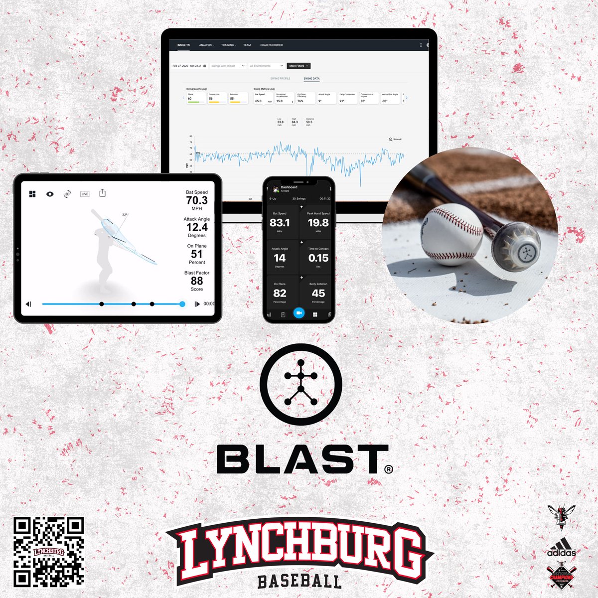 Lynchburg Baseball tweet media