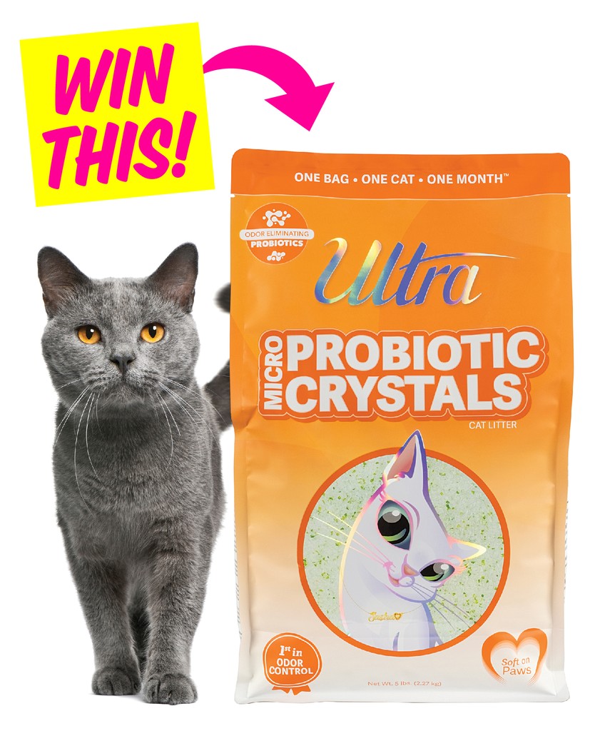 ModernCatMag's tweet photo. Don't miss this #Giveaway! Win 1 of 3 litter prize packs from #UltraPet! Includes six 5 pound bags of Ultra Micro Probiotic Crystal litter. 🐾
Enter now: https://t.co/XHKzz7tq6k #moderncat #cats #catlitter #catgear #cathealth https://t.co/HEERDURFfs