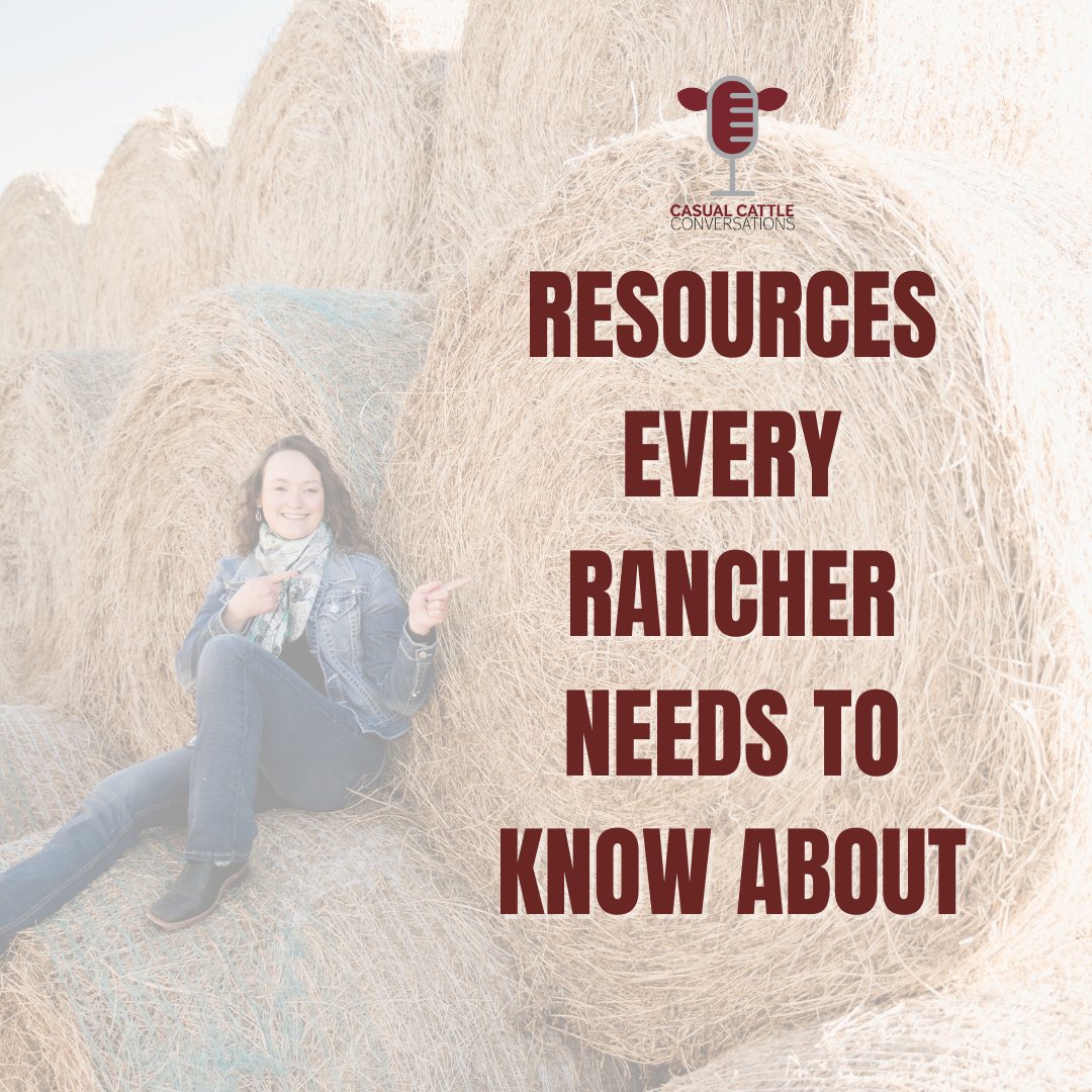 cattleconvos's tweet photo. We live in a 🌪️ of information. I know just how overwhelming it can be. I take it upon myself to sort through the noise for ranchers 🤠 We offer podcasts🎙️, YouTube📹 , newsletters🗞️, blogs ✏️ and live conversations 🗣️ with other ranchers! https://t.co/GZW8atlsev