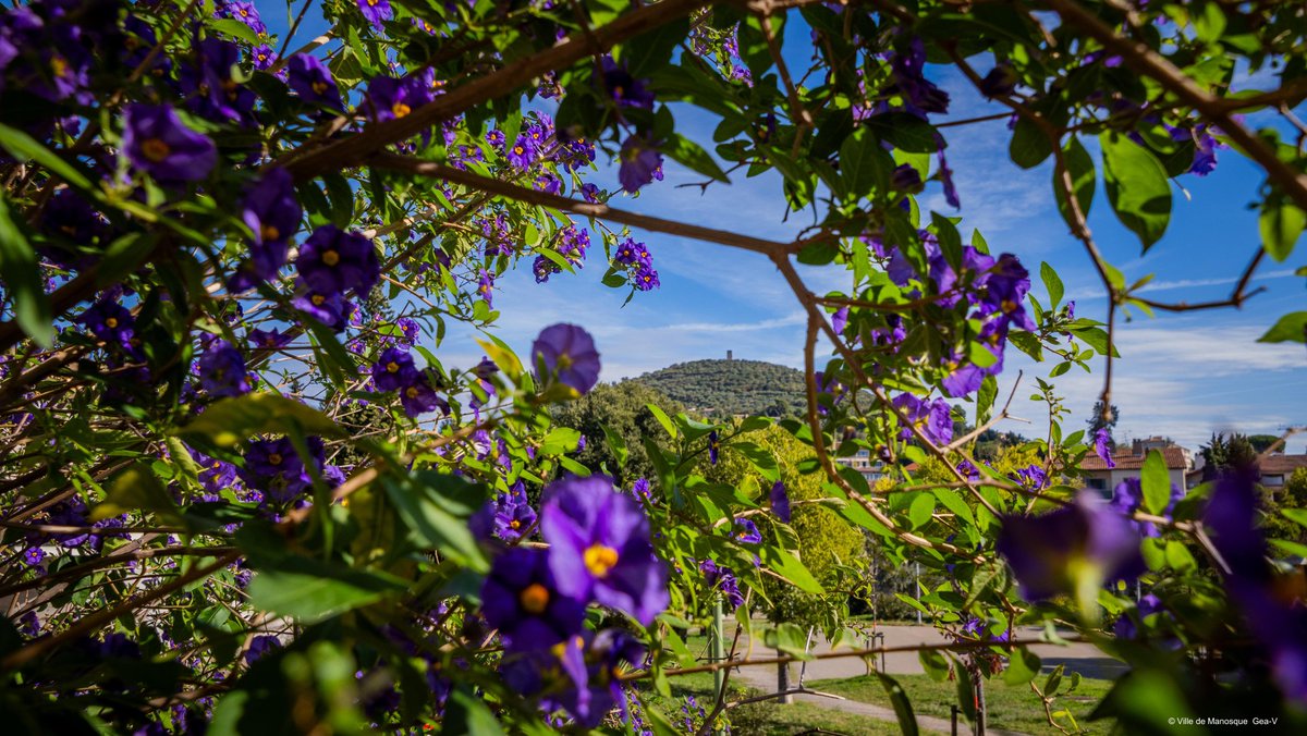Camille Galtier (@camillegaltier) on Twitter photo Le Département <a href="/AlpesProvence04/">Alpes de Haute Provence</a> 4ème département préféré des français 🥳🌻🇫🇷
Dans le cadre de l'enquête nationale <a href="/Monaviscitoyen/">Mon Avis Citoyen</a>, nous terminons aux pieds du podium démontrant les bénéfices du travail de valorisation de notre "image" effectué depuis 3 ans par les élus Le Département <a href="/AlpesProvence04/">Alpes de Haute Provence</a> 4ème département préféré des français 🥳🌻🇫🇷
Dans le cadre de l'enquête nationale <a href="/Monaviscitoyen/">Mon Avis Citoyen</a>, nous terminons aux pieds du podium démontrant les bénéfices du travail de valorisation de notre "image" effectué depuis 3 ans par les élus