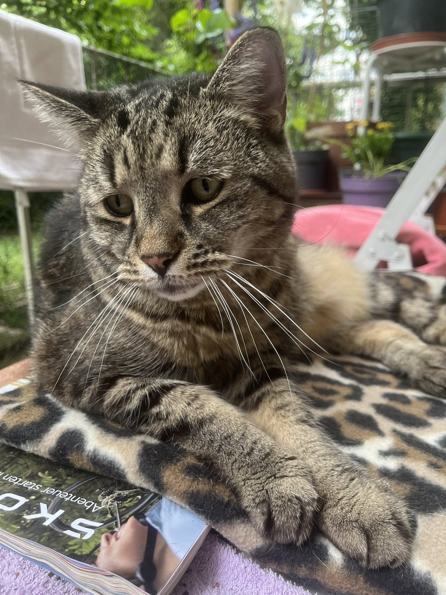 Die Regel lautet, nach 1 Woche Glück folgt wieder mindestens 1 Monat Scheiße.  Daumen halten war wohl nix. Werd mich wohl demnächst auch von Resi verabschieden 💔