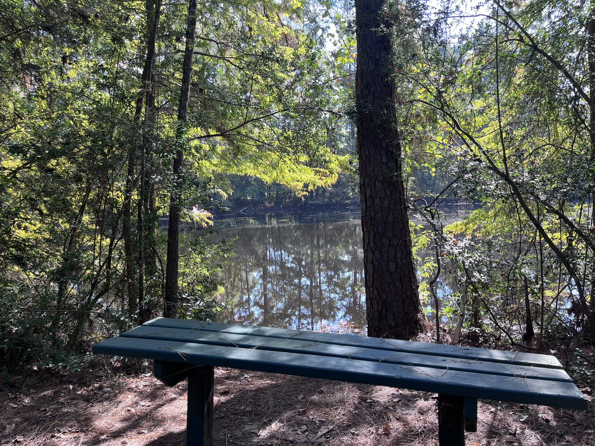 Need someone to take me on a date here :3