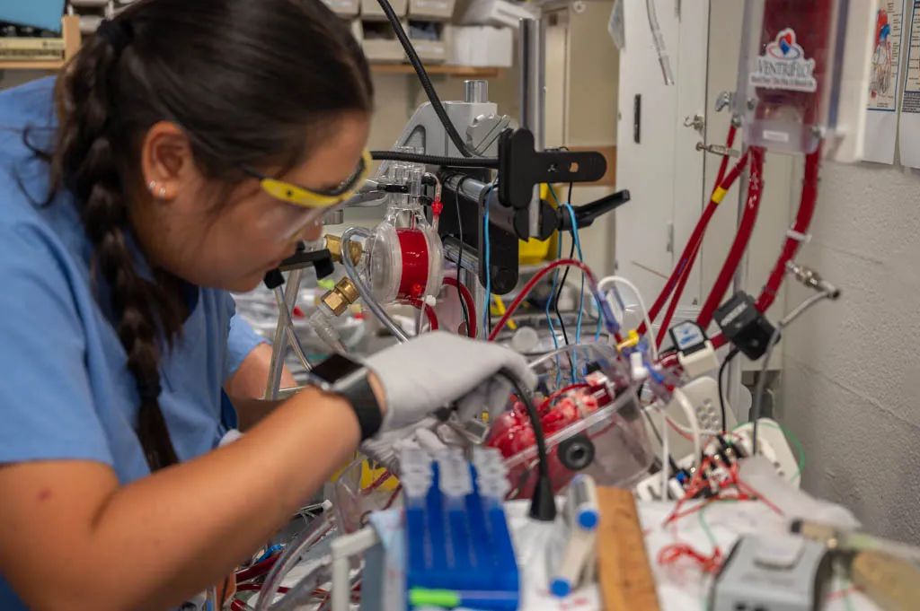 MGBResearchNews's tweet photo. At the Perfusion Lab, researchers from @mghhearthealth @mgh_transplant are exploring suspended animation to revolutionize heart transplants, cardiac care and more.
Read more: https://t.co/eHDxCb1XmZ
#HeartScience #MedTech #cardiology https://t.co/DdoODyKuHF