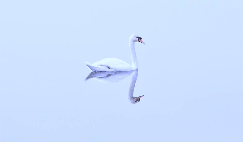 EvangelicoD's tweet image. Las dos #verdades #GeorgesDoumat i.mtr.cool/dobhkrvric ‘Nosotros nada podemos contra la #verdad, sino a favor de la verdad’