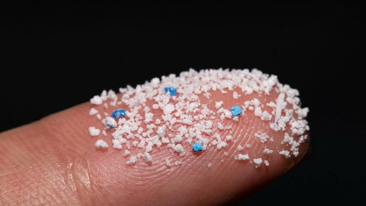 CISUP (@cisup1) on Twitter photo Le ricerche sulle microplastiche devono essere “plastic free”: lo spiega l’Università
Lo studio dell’Ateneo è stato pubblicato sulla rivista Science of the Total Environment
<a href="/DstUNIPI/">DST Università di Pisa</a> <a href="/ChemUniPi/">DCCI UniPisa</a> <a href="/Unipisa/">Università di Pisa</a> <a href="/CISUP1/">CISUP</a> <a href="/RicercaUnipi/">Ricerca UNIPI</a>
lanazione.it/pisa/cronaca/l… Le ricerche sulle microplastiche devono essere “plastic free”: lo spiega l’Università
Lo studio dell’Ateneo è stato pubblicato sulla rivista Science of the Total Environment
<a href="/DstUNIPI/">DST Università di Pisa</a> <a href="/ChemUniPi/">DCCI UniPisa</a> <a href="/Unipisa/">Università di Pisa</a> <a href="/CISUP1/">CISUP</a> <a href="/RicercaUnipi/">Ricerca UNIPI</a>
lanazione.it/pisa/cronaca/l…