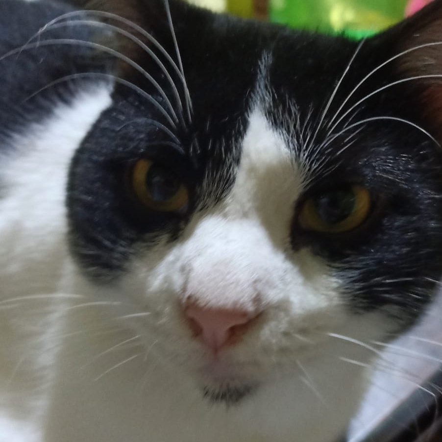 Profile pic vs tagged photo